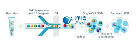 中國(guó)人自己的微流控單細(xì)胞測(cè)序儀來(lái)了！_微流控Drop-seq,微流控技術(shù)