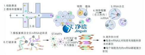 中國(guó)人自己的微流控單細(xì)胞測(cè)序儀來(lái)了！_微流控Drop-seq