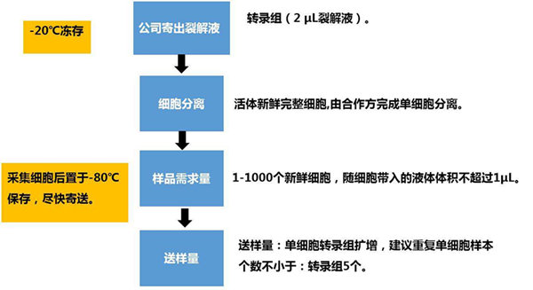 RNA-seq單細胞轉(zhuǎn)錄組測序在眼科領(lǐng)域中的研究應(yīng)用