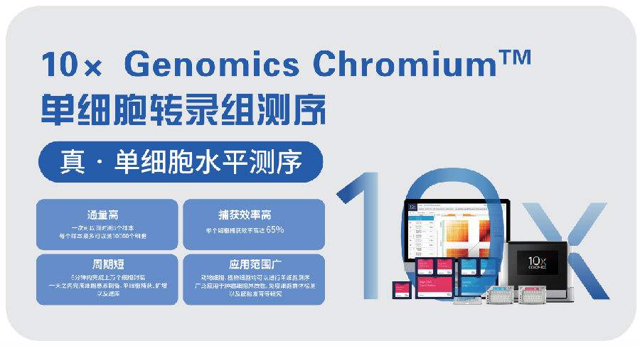 CELL：單細(xì)胞測(cè)序探究肝癌腫瘤微環(huán)境_單細(xì)胞測(cè)序