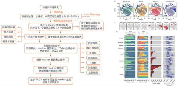 10X Genomics 單細胞轉(zhuǎn)錄組測序